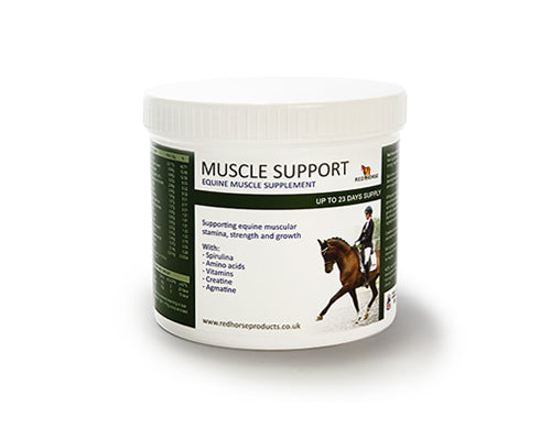 Muscle Support